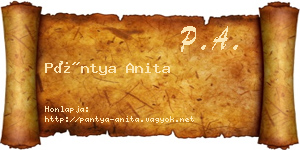 Pántya Anita névjegykártya